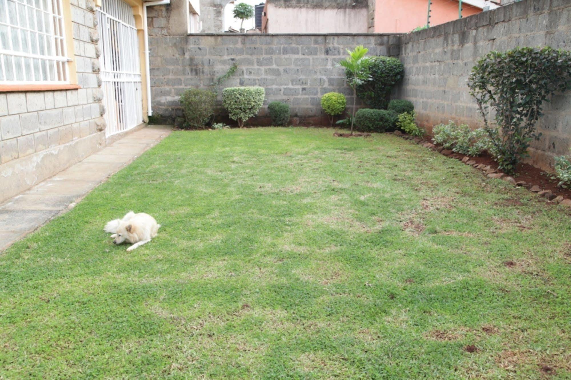 Mdawida Homestay Nairobi Bagian luar foto